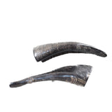 2 Small Polished Goat Horns #0359      Natural Colored