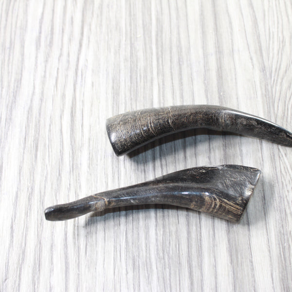2 Small Polished Goat Horns #0359      Natural Colored