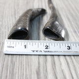 2 Small Polished Goat Horns #0359      Natural Colored