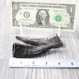 2 Small Polished Goat Horns #0359      Natural Colored