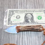 Cholla Cactus Wood Handle  Opalite Blade Knife Necklace  # 16767