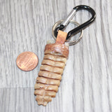 Very Large Rattlesnake Rattle Key Ring   #25167       Key Chain