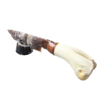 Deer Bone Handle Stone Blade Ornamental Knife #4359    Mountain Man Knife