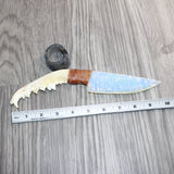 Coyote Jaw Handle Opalite Blade Ornamental Knife # 28667