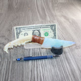 Coyote Jaw Handle Opalite Blade Ornamental Knife # 28667