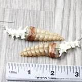 Rattlesnake Rattle Plus Vertebrae Earrings  #6459  Mountain Man Earrings