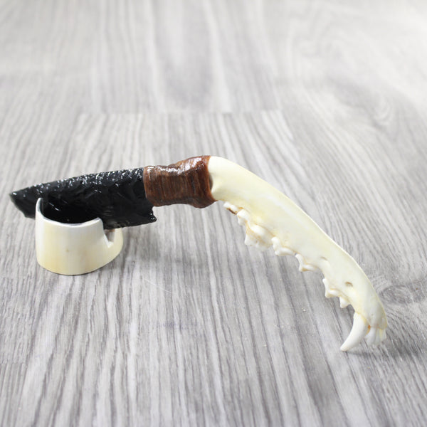 Coyote Jaw Handle Obsidian Blade Ornamental Knife #1559  Mountain Man Knife
