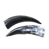 2 Small Polished Cow Horns #3559    Natural colored