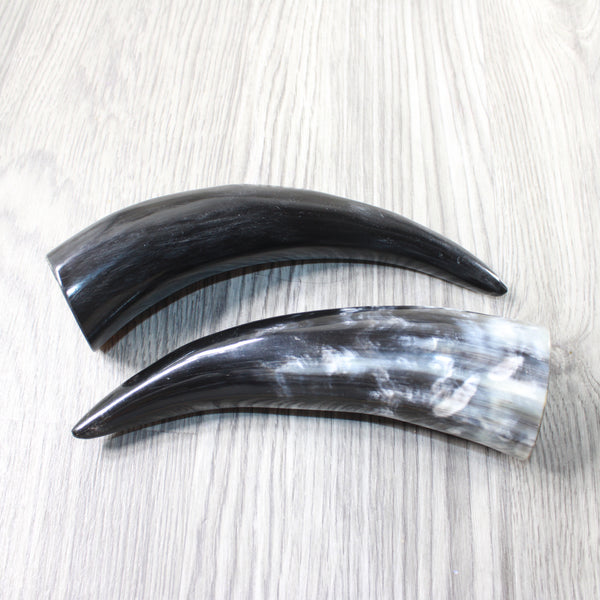 2 Small Polished Cow Horns #3559    Natural colored