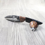 Orthoceras Fossil Handle Obsidian Blade Ornamental Knife #8559  Mountain Man Knife