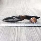 Orthoceras Fossil Handle Obsidian Blade Ornamental Knife #8559  Mountain Man Knife