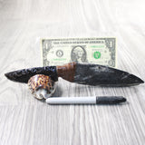 Orthoceras Fossil Handle Obsidian Blade Ornamental Knife #8559  Mountain Man Knife