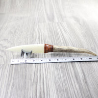 Elk Antler Handle Bone Blade Ornamental Knife #2659    Mountain Man Knife