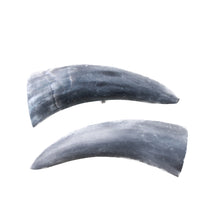 2 Small Raw Unfinished Cow Horns #9049 Natural Colored