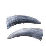 2 Small Raw Unfinished Cow Horns #9049 Natural Colored