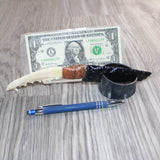 Coyote Jaw Handle Obsidian  Blade Ornamental Knife # 28867