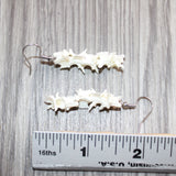 Rattlesnake Vertebrae  Earrings  #25467