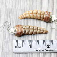 Very Large Rattlesnake Rattle Earrings  #6759  Mountain Man Earrings