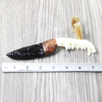 Fox Jaw Handle Obsidian Blade Ornamental Knife #8859  Mountain Man Knife