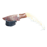 Coyote Jaw Handle Stone Blade Ornamental Knife # 28967