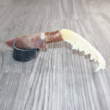 Coyote Jaw Handle Stone Blade Ornamental Knife # 28967