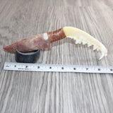 Coyote Jaw Handle Stone Blade Ornamental Knife # 28967