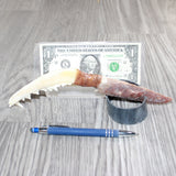 Coyote Jaw Handle Stone Blade Ornamental Knife # 28967