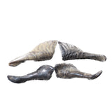 4 Small Polished Goat Horns #4859      Natural Colored