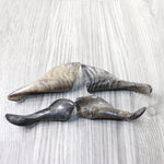 4 Small Polished Goat Horns #4859      Natural Colored