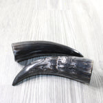 2 Small Polished Cow Horns #2859    Natural colored