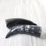 2 Small Polished Cow Horns #2859    Natural colored
