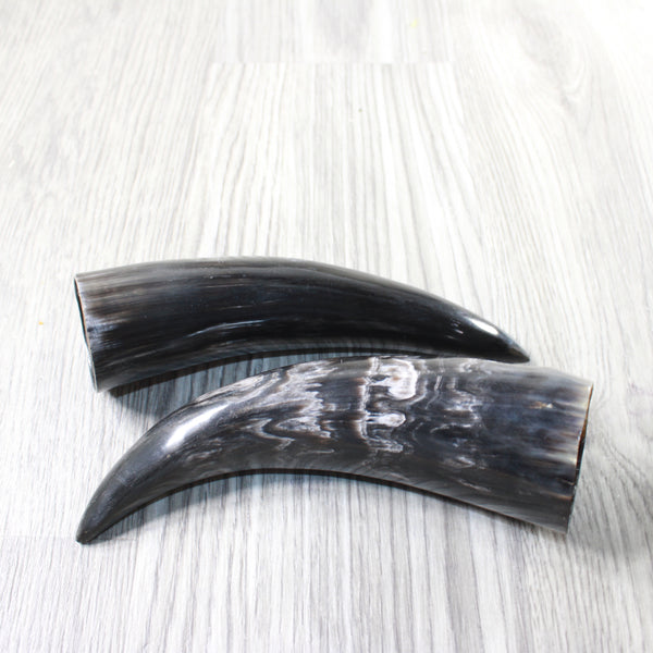 2 Small Polished Cow Horns #2859    Natural colored