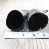 2 Small Polished Cow Horns #2859    Natural colored
