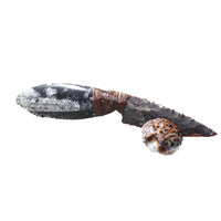 Orthoceras Fossil Handle Stone Blade Ornamental Knife #22n59    Mountain Man Knife