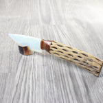 Cholla Cactus Wood Handle Opalite Blade Ornamental Knife #0059     Mountain Man Knife