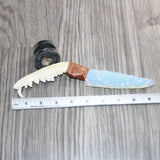 Coyote Jaw Handle Opalite Blade Ornamental Knife # 28467
