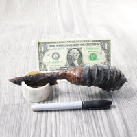 Springbok Horn Handle Stone Blade Ornamental Knife #6059    Mountain Man Knife