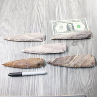 5 Stone Ornamental Spearheads  #0159     Agate Jasper Arrowheads