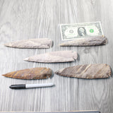 5 Stone Ornamental Spearheads  #0159     Agate Jasper Arrowheads