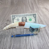 Coyote Jaw Handle Opalite Blade Ornamental Knife # 28267