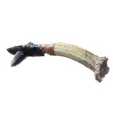Deer Antler Crown Handle Obsidian Blade Ornamental Knife #2459  Mountain Man Knife