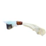 Deer Jaw Handle Opalite Blade Ornamental Knife #1559     Mountain Man Knife