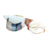 Muskrat Skull Handle Opalite Blade Ornamental Knife #08267
