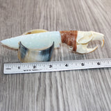 Muskrat Skull Handle Opalite Blade Ornamental Knife #08267
