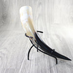 1 Polished Cow Horn With Stand #3559    Natural Colored