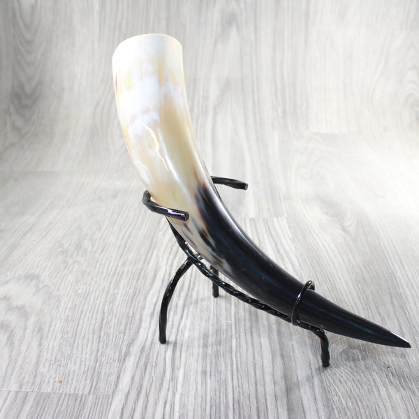 1 Polished Cow Horn With Stand #3559    Natural Colored
