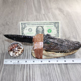 Alligator Head Handle Obsidian  Blade Ornamental Knife # 02267