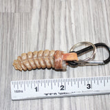 Rattlesnake Rattle Key Ring   #25267      Key Chain