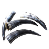 4 Polished Cow Horns #0559    Natural colored