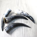 4 Polished Cow Horns #0559    Natural colored